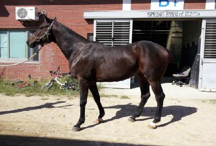 ���� ����