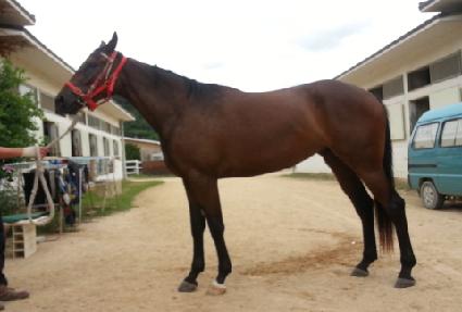 �������� ����