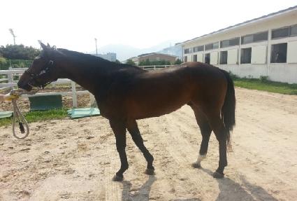 �ο������� ����