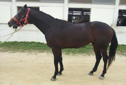 �׸����� ����