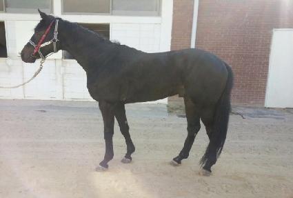 ����� ����