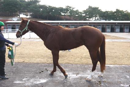 ��ȴ�� ����