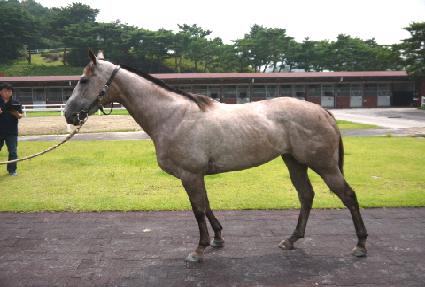 ũ����Ʈ ����