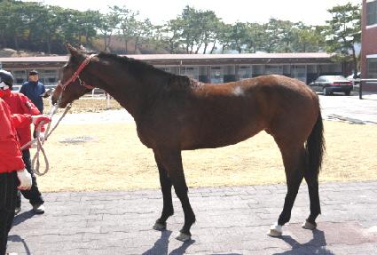 Ǫ����ž ����