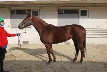 ����彼 (QUEEN HUDSON) ����