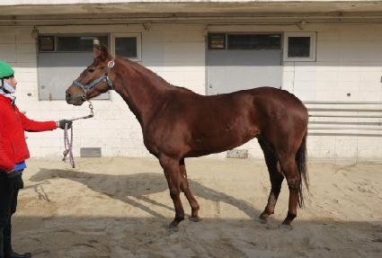 ����彼 ����