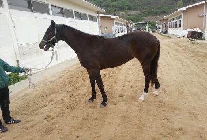 �ڸ���Ʈ ����