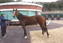 ��¸ƶ� (RAON MCLAREN) ����