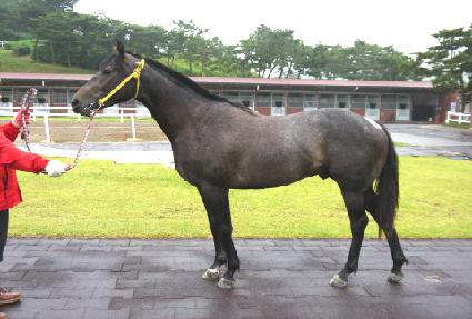 ��¸𸮽� ����