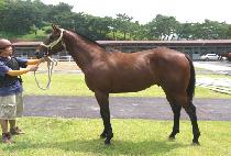 ��¿��� (RAON YEONGGWANG) ����