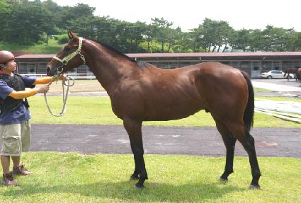 ��¿��� ����