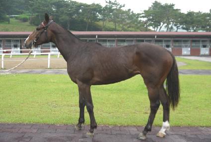 ����ƮŬ�� ����