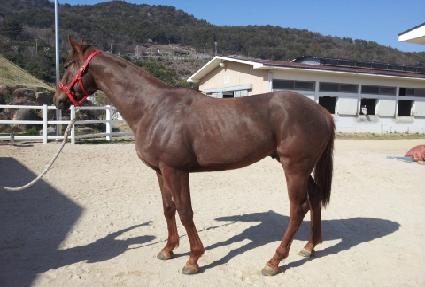 ���̽��帲 ����