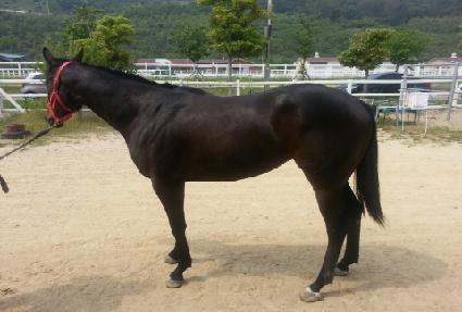 �������� ����