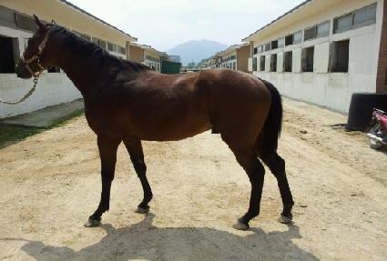 ��ĸ��ȭ ����