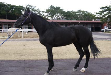 ���۶��̴� ����