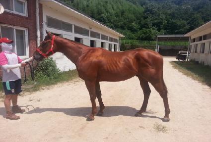 ��ī�̼� ����