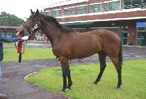 ��� (BIG SHOW) ����