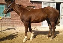 ����Ʈ���� (SMART BOY) ����