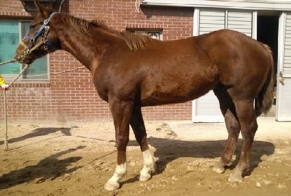 ����Ʈ���� ����