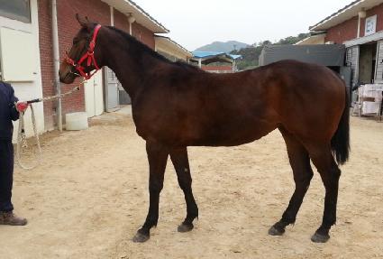 �����м� ����