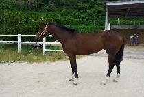 ĸ�ο� (CAP IN ALL) ����