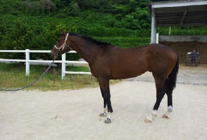 ĸ�ο� ����