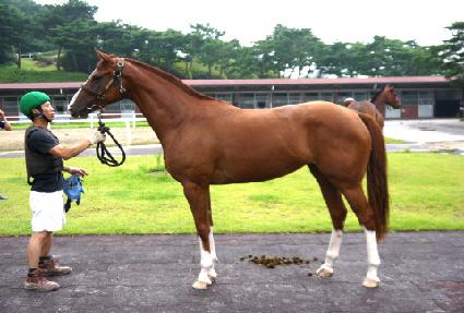 ��õ�׵� ����