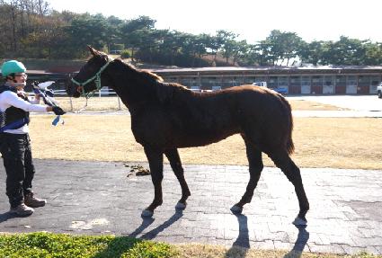 ���ֺ� ����