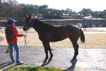 �Ƹ��ٿ����� (AREUMDAUN JENA) ����