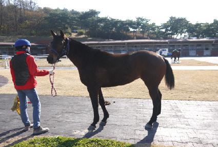 �Ƹ��ٿ����� ����