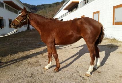 ���������� ����