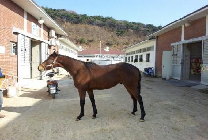 �ʵ�ο� ����