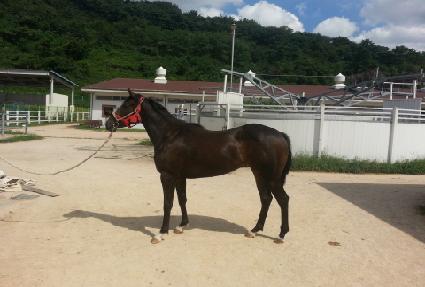 ���丮���� ����