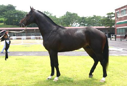 ����� ����