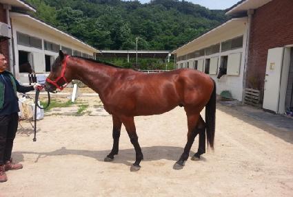 ���������丮 ����