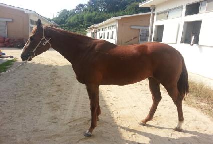 ��緡�� ����