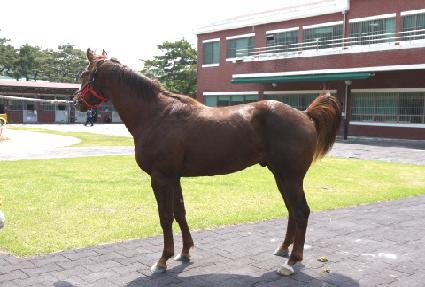 �帲��ũ ����