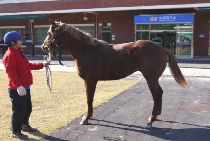 ���̽��� ����