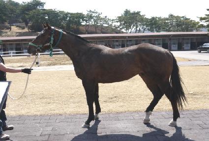 ���ȣ���� ����