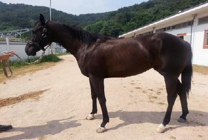 ���������� ����