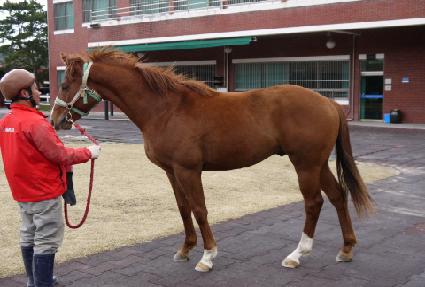 �ǽ����� ����