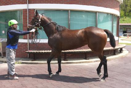 �½�ī��Ʈ ����