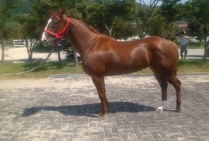 �۽�Ʈ�� ����