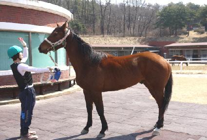 ĵ��ĳ�� ����