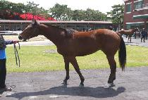 �����־� (SUPER JEWELRY) ����