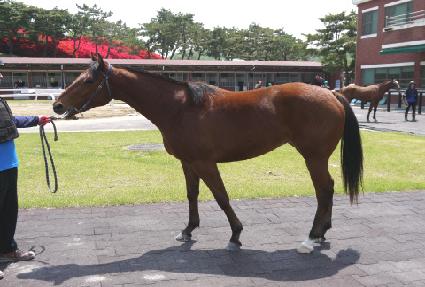 �����־� ����