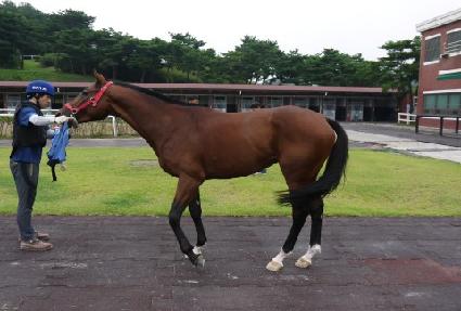 ���̿������� ����