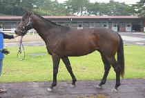 �帲�� (DREAM ON) ����