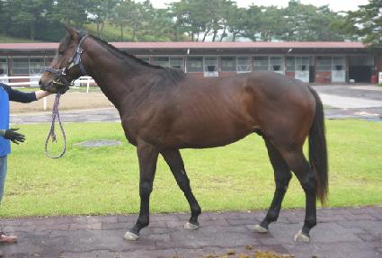 �帲�� ����